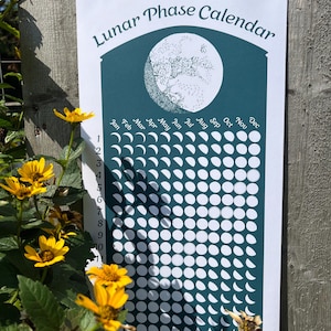 Calendario de fases lunares verde azulado de 2025, calendario de fases lunares de 2025, calendario lunar de 2025, póster original de fases lunares