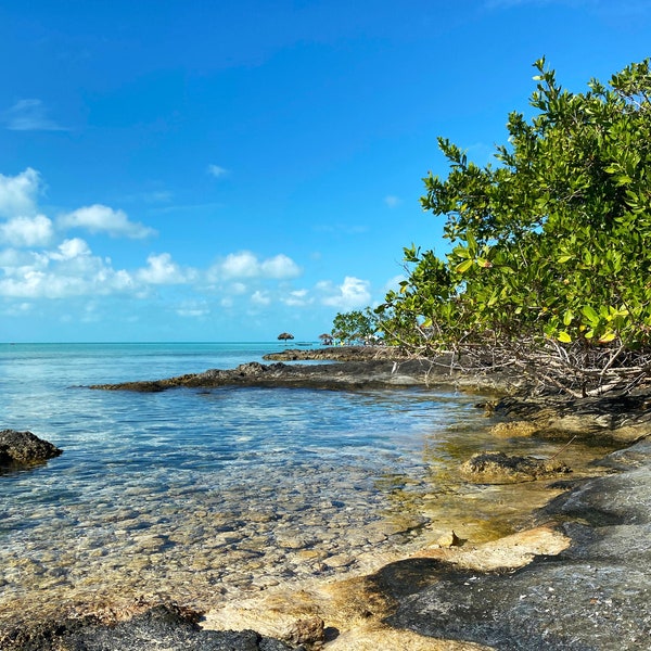 Secret Beach Ambergris Caye Belize Central America Raw Photography Landscape Print