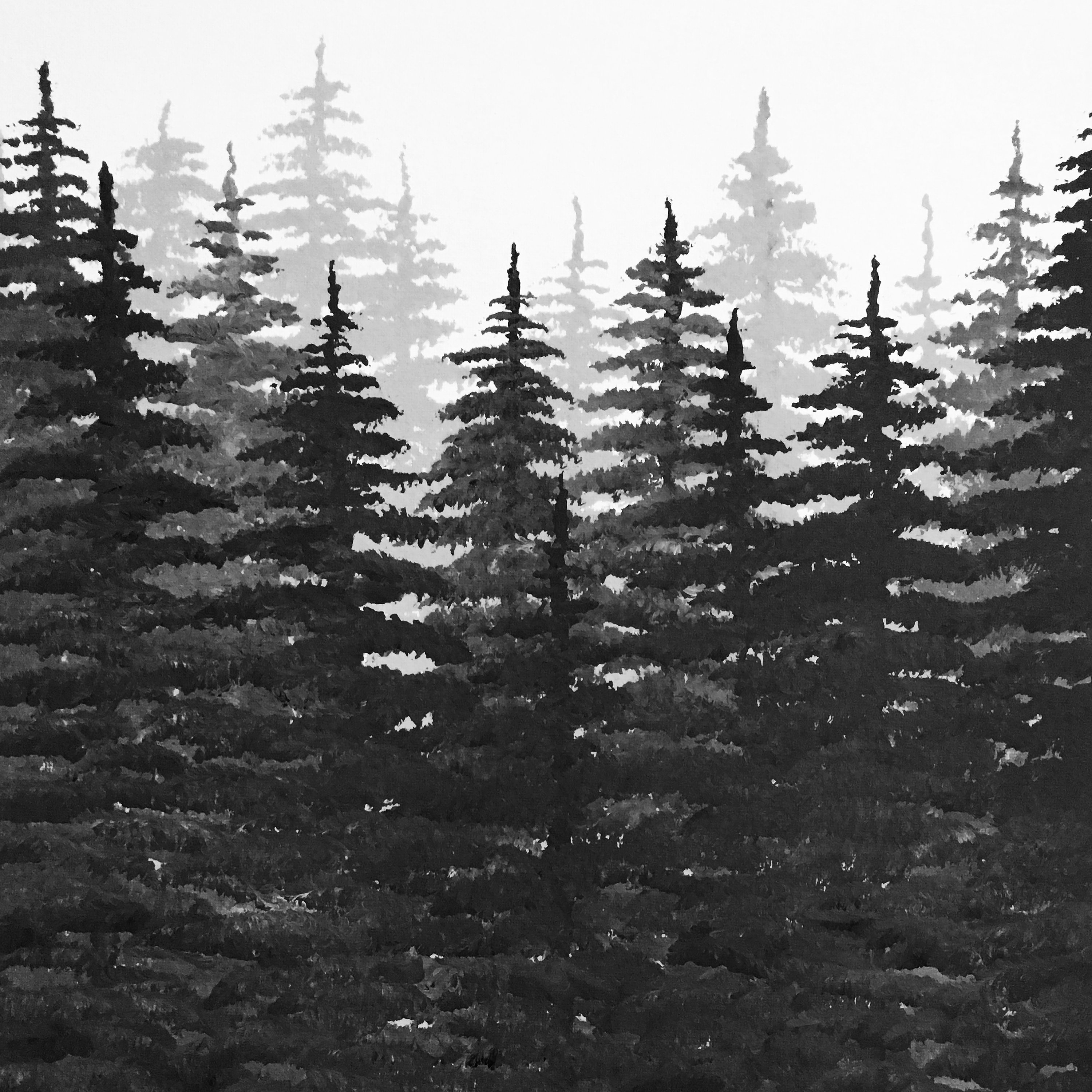 Black and White Pine Tree Forest Etsy