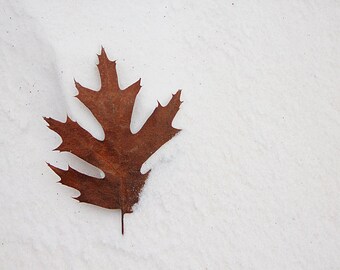 Leaf in Snow print