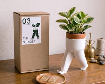 Maceta andante con patas / Maceta divertida para suculentas impresa en 3D / Decoración de escritorio original / Soporte único para plantas de interior