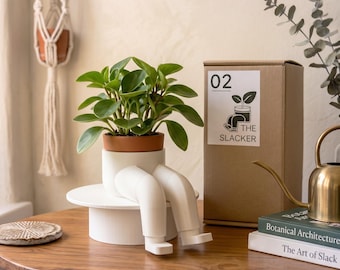 Maceta con patas / Maceta para estante / Maceta para suculentas impresa en 3D / Decoración de escritorio original
