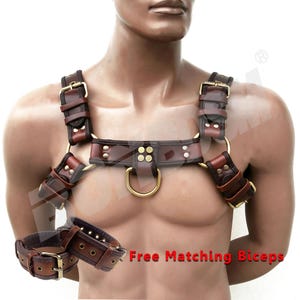 Men&#39;s Bulldog Leather Harness - Burgundy Brown with Matching Biceps Cuffs - Puppy Play Gear