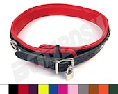 Articolo da questo negozio