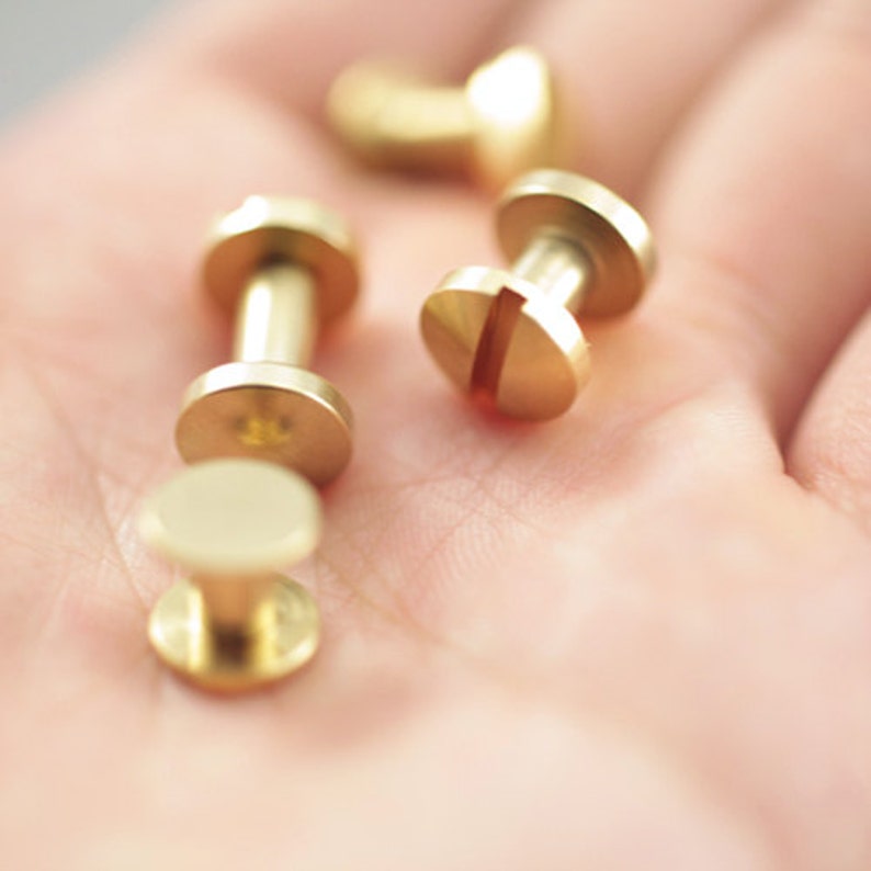 Op de afbeelding: Vier gouden metalen schroefbevestigingen met een platte kop en een schroefdraad. De bevestigingen bevinden zich op de hand van een persoon.