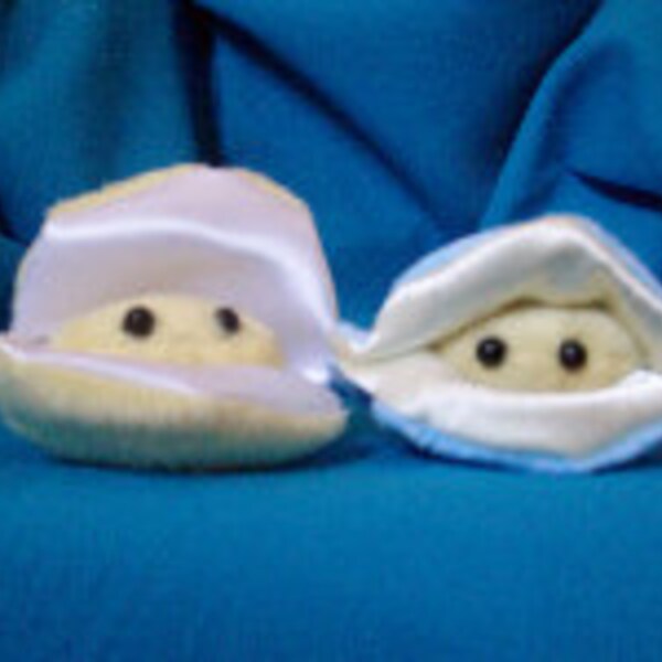 Timid Clam Plushies