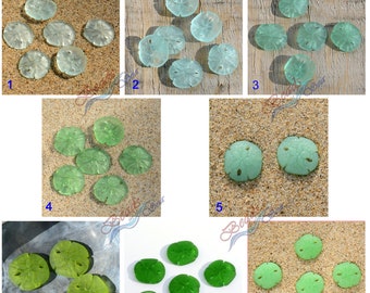 More Colors~2 pcs (21X19mm) Mini Green Sand Dollar 2-hole Earring size Cultured Sea Glass Beads~Beach Glass Pendant Beads
