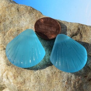 Sea Glass Shell 2pcs (29X27mm) Blue Large Tip-Drilled Shell Cultured Sea Glass ~Craft Beads~Beach Glass Beads Pendant~ More Colors 1. Turquoise Bay