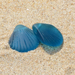 May include: Two blue glass sea shell shaped beads. The beads are smooth and have a frosted finish.