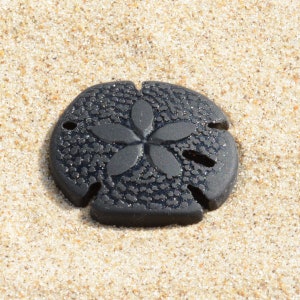 Pu&ograve; includere: Un dollaro di sabbia nero con un design a stella a cinque punte, che riposa su una spiaggia sabbiosa.
