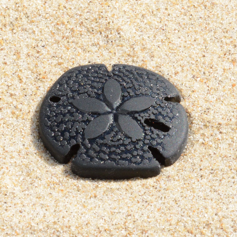 Pu&ograve; includere: Un dollaro di sabbia nero con un design a stella a cinque punte, che riposa su una spiaggia sabbiosa.