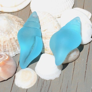 Sea Glass Large Conch Shell Blue 1pc 39x20mm Cultured Sea Glass Beach Glass Pendants image 2