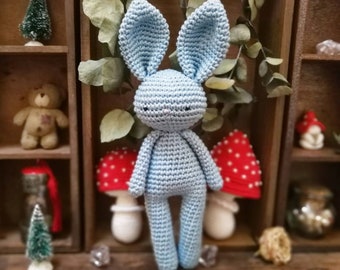 Baby gift Amigurumi Doudou blue crochet rabbit