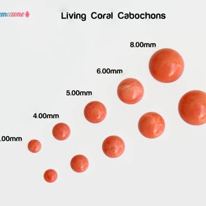 LOT Living Coral Cabochons / 3mm 4mm 5mm Loose Round Flat Back Gemstone Cabs / Reconstituted Coral / 6 PCS Total