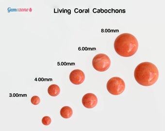 LOT Living Coral Cabochons / 3mm 4mm 5mm Loose Round Flat Back Gemstone Cabs / Reconstituted Coral / 6 PCS Total
