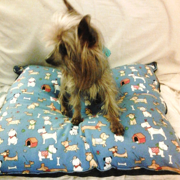 Super Cozy Soft Fleece Toy Breed Pet Bed, handmade water resistant bottom