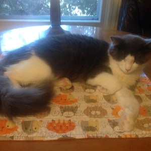 Catnip infused Play Mats