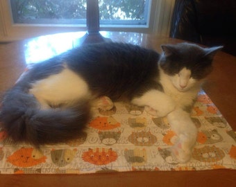Catnip infused Play Mats