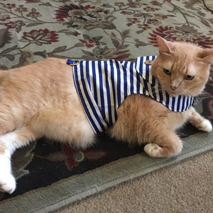 Harnais De Marche De Chat De Concepteur Vetements De Chat Etsy Harnais De Marche De Chat De Concepteur Vetements De Chat Etsy
