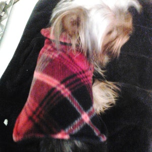 May include: A small, white and gray dog wearing a red and black plaid sweater. The dog is lying on a black blanket.