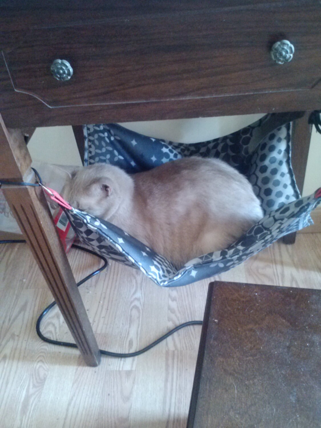 Large Cozy Pet Hammock Hanging Pet Bed Cat Furniture Ferret Etsy