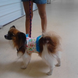 Small Walking Pet Harness Lined w/ D Ring, Dog Harness, Cat Harness, Pet Collar, Dog Collar, Dog clothing, Jackets, Dog dress, Fancy