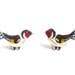 Nicola reviewed Goldfinch Earrings, Bird Stud, Handpainted, Post Stud, Jewellery, Jewelry, bird lover gift, brown, red, black, stud