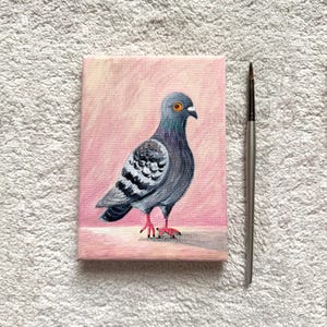 Pigeon | Original Mixed media Painting | Canvas | Pigeon Art | Pigeon lovers
