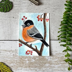 Pájaro camachuelo / Original ACEO / Pintura en acuarela / Ilustración en gouache / Pájaro de jardín / Amantes de las aves / Pintura en miniatura