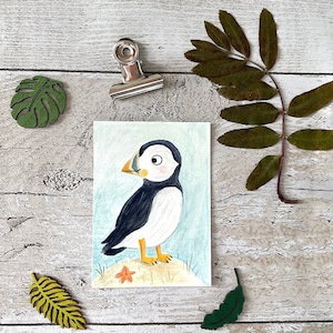 ACEO originale / Pulcinella di mare / Dipinto ad acquerello / Illustrazione a guazzo / Animale / Piccolo uccello / Uccello scozzese / Dipinto in miniatura