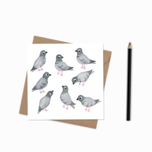 Cartão de pombo | Cartão de aniversário | Cartão em branco | Cartão de pássaro | Cartão de animal | Cartão de amigo | ENVIO NO MESMO DIA