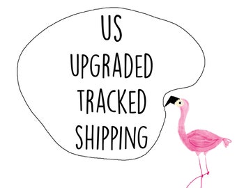May include: A pink flamingo with a black beak is looking at a white speech bubble with the text "US UPGRADED TRACKED SHIPPING" in black.