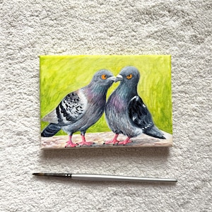 Pigeon Couple | Original Mixed media Painting | Canvas | Pigeon painting