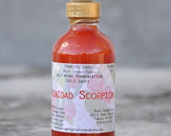 Trinidad Scorpion Salt Brine Fermentation Chile Sauce
