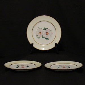 Kent China Tropical Set of 3 Salad Plates, Wall Décor, Replacement Pieces, Vintage China, Excellent Condition, Bone China, Mid Century