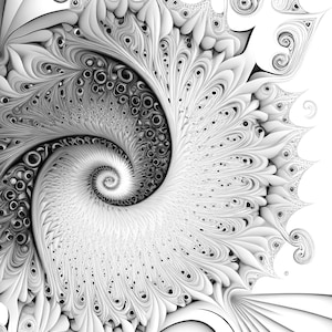 K&ouml;nnte beinhalten: Ein abstraktes Fraktalbild in Schwarzwei&szlig; mit einem Spiraldesign. Die Spirale ist von komplizierten Mustern und Details umgeben.