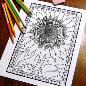 Fantasy Coloring Pages - Digital Download - Coloring Page - Colouring Pages
