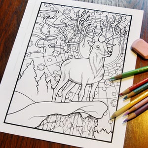 Fantasy Coloring Pages - Digital Download - Coloring Page - Colouring Pages