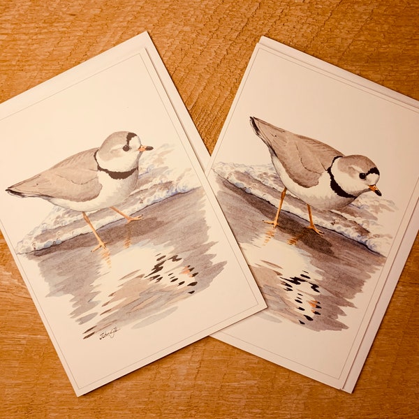 Piping Plover Greeting Cards with Matching Envelopes, Bird Notecard Set of 6.