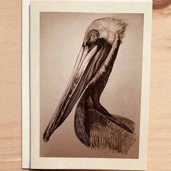 Brown pelican Greeting Cards with Matching Envelopes, Pelican Notecard Set of 6.