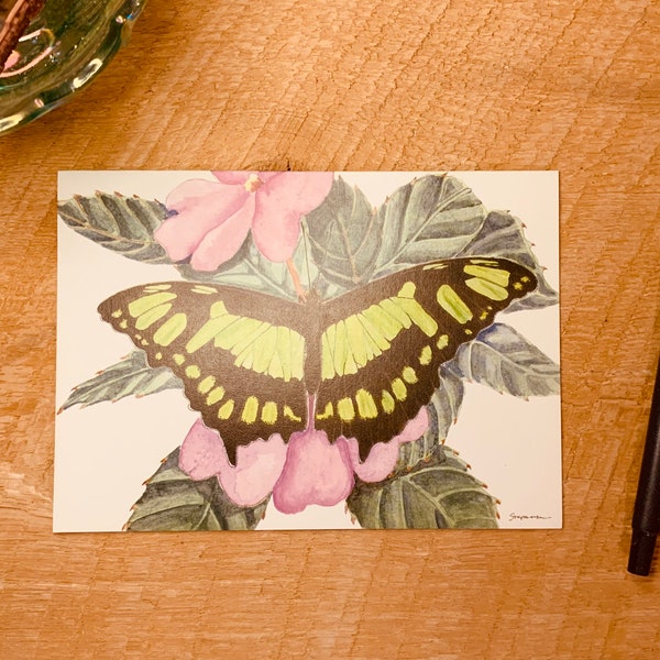 Malachite Butterfly Greeting Cards. Notecard Set of 6.
