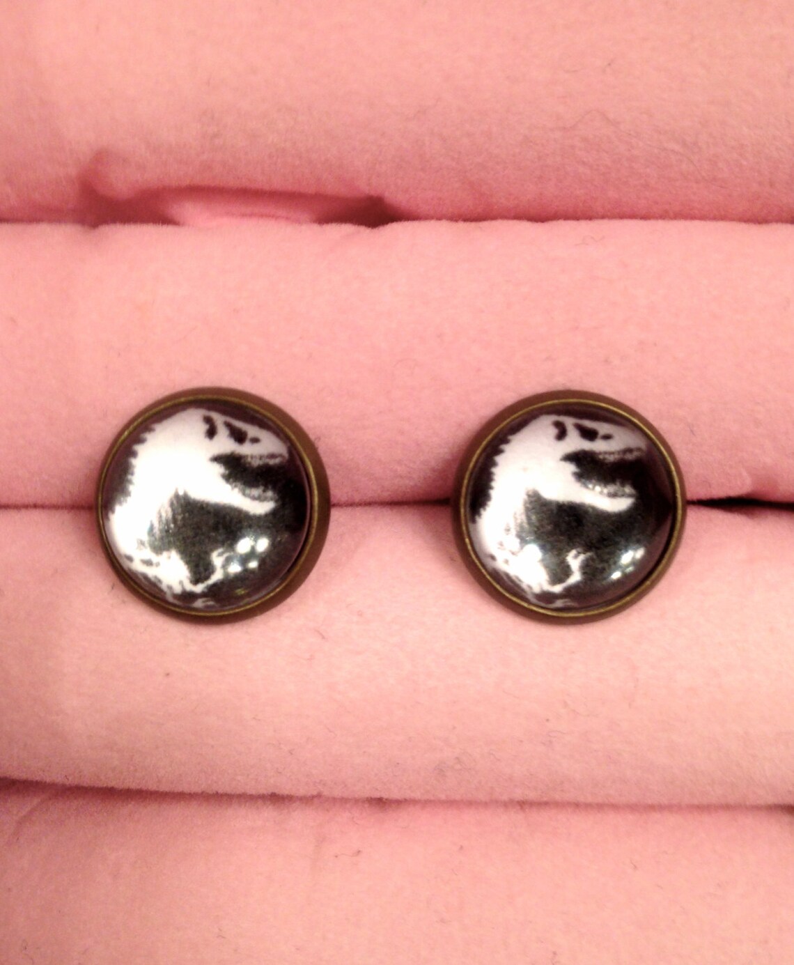 USJ Jurassic World Earrings main image 1