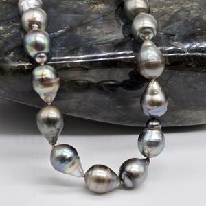 Moonlit Tide: Tahitian Pearl Necklace, 17in. Tahitian Black Pearl Necklace with 1in. 14K Gold filled extender chain. One of a Kind
