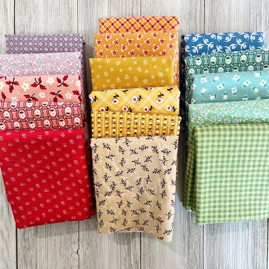 Prairie 16 Fat Quarter Bundle by Lori Holt Riley Blake Rainbow ...