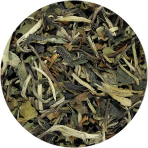 Special Tea Loose Leaf White Tea with Sakura Cherry & Rose Flavor, Pyramid 15 Sachets