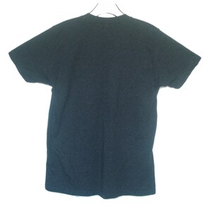 May include: A dark gray short-sleeved t-shirt.
