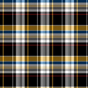 NFL Logo Pittsburgh Steelers Black & Yellow 100% Cotton Fabric by Fabric Traditions! 7 Styles 70624 PITT PLAID/45"