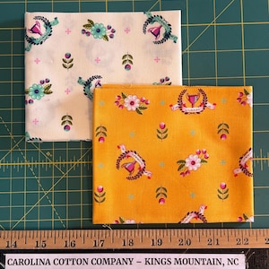 Tula Pink Fabric Slow & Steady Winners Circle in Blue Raspberry or Orange Crush PWTP089 Rare 100% Cotton Fabric by Free Spirit! 2 Colors