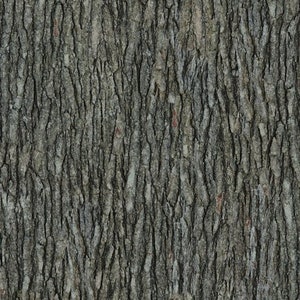 Open Air Landscape Nature Tree Bark Wood 28112 100% Cotton - Etsy