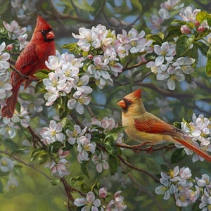 Orchard Romance Cardinal 0075 100% Cotton 36&quot; Panel by David Textiles!